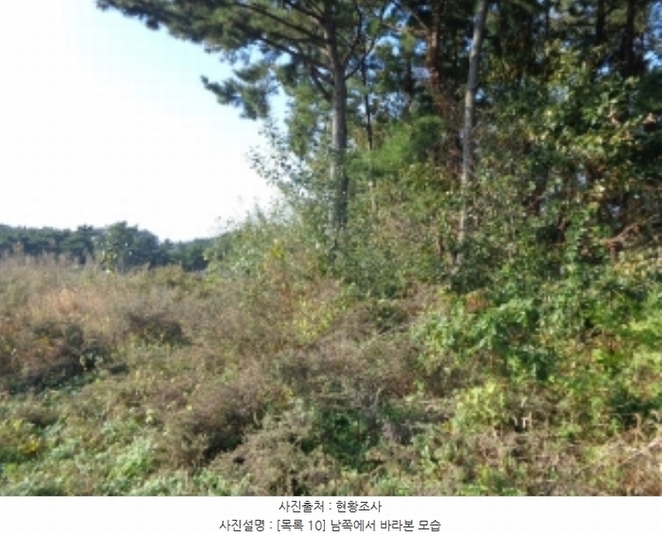 2024타경4464 충청남도 태안군 남면 원청리 2-1 농지 경매 이미지