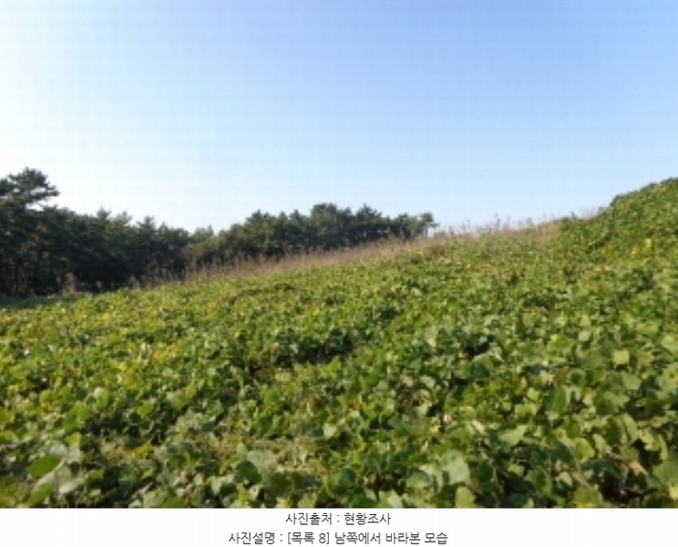 2024타경4464 충청남도 태안군 남면 원청리 2-1 농지 경매 이미지