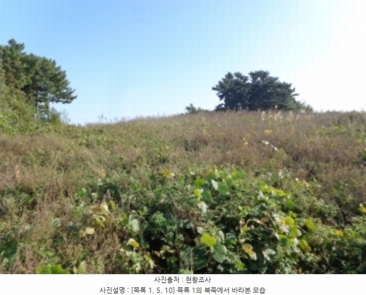 2024타경4464 충청남도 태안군 남면 원청리 2-1 농지 경매 이미지
