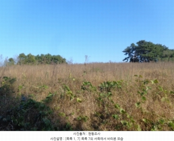 2024타경4464 충청남도 태안군 남면 원청리 2-1 농지 경매 이미지