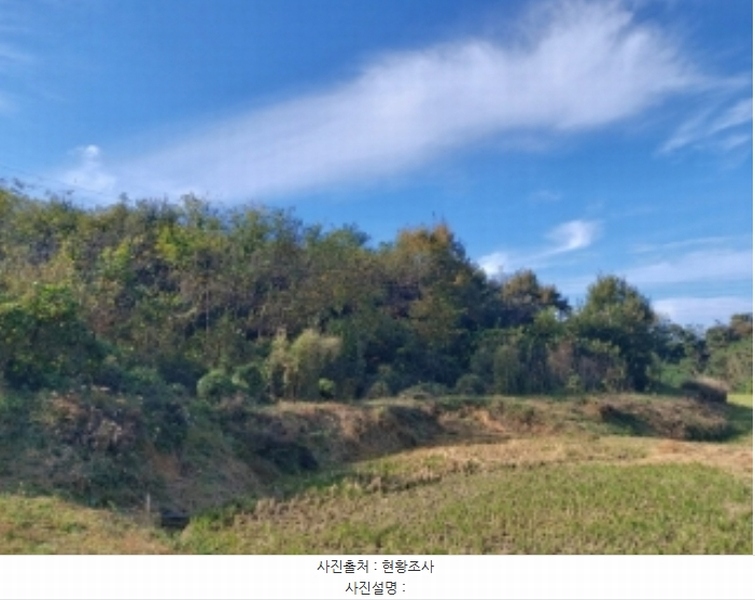 2024타경4525 충청남도 당진시 송악읍 석포리 351-20 임야 경매 이미지