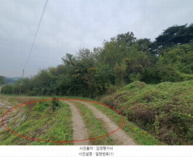 2024타경4525 충청남도 당진시 송악읍 석포리 351-20 임야 경매 이미지
