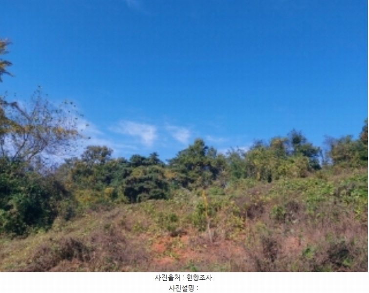 2024타경4525 충청남도 당진시 송악읍 석포리 351-20 임야 경매 이미지