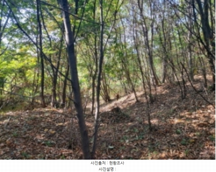 2024타경4525 충청남도 당진시 송악읍 석포리 351-20 임야 경매 이미지