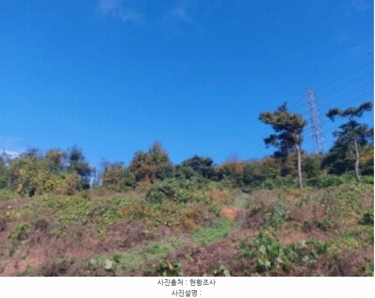 2024타경4525 충청남도 당진시 송악읍 석포리 351-20 임야 경매 이미지
