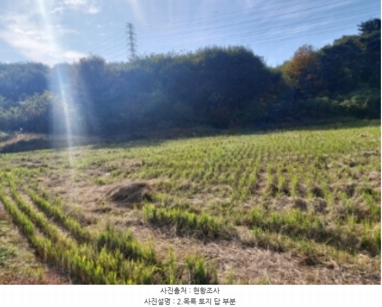 2024타경4525 충청남도 당진시 송악읍 석포리 351-20 임야 경매 이미지