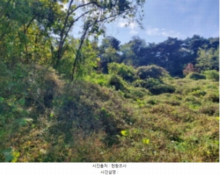2024타경4525 충청남도 당진시 송악읍 석포리 351-20 임야 경매 이미지