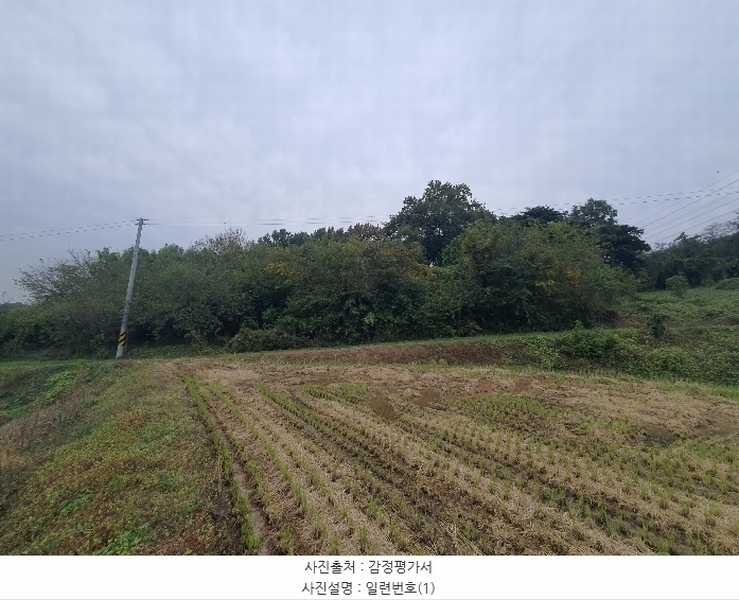 2024타경4525 충청남도 당진시 송악읍 석포리 351-20 임야 경매 이미지