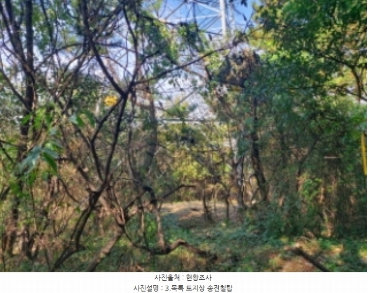 2024타경4525 충청남도 당진시 송악읍 석포리 351-20 임야 경매 이미지