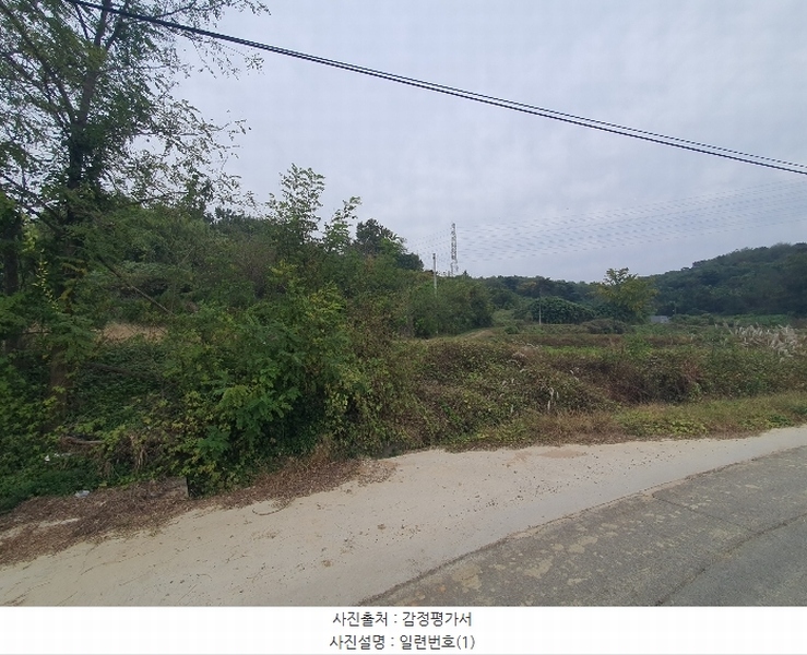 2024타경4525 충청남도 당진시 송악읍 석포리 351-20 임야 경매 이미지