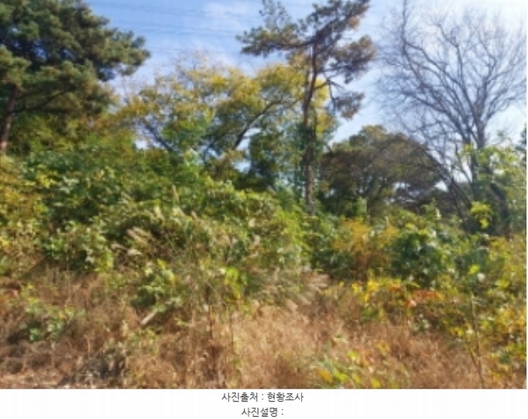 2024타경4525 충청남도 당진시 송악읍 석포리 351-20 임야 경매 이미지