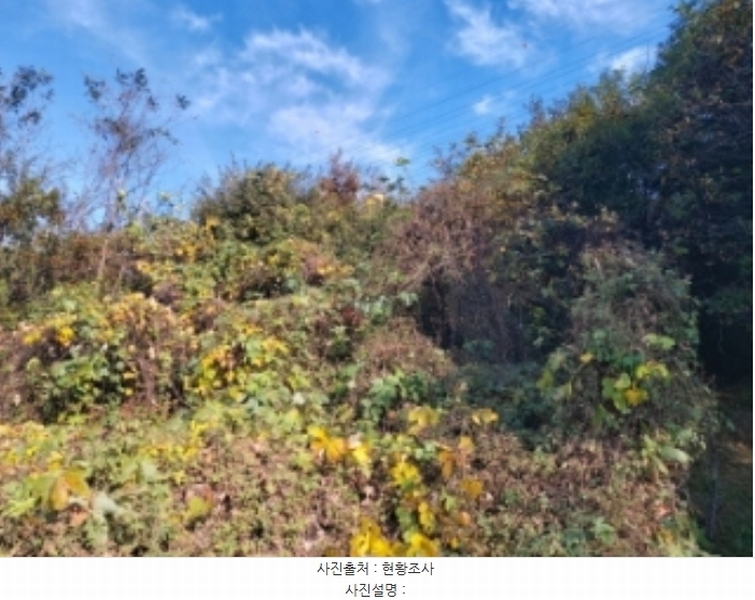 2024타경4525 충청남도 당진시 송악읍 석포리 351-20 임야 경매 이미지