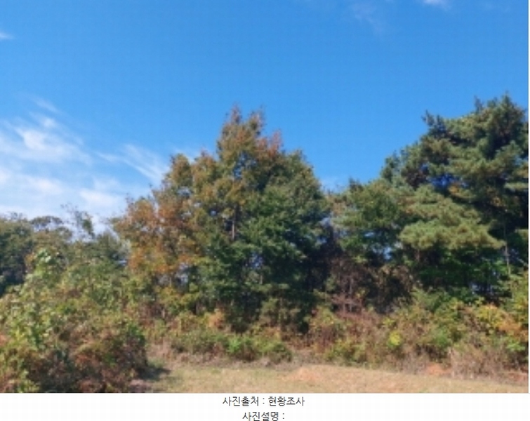 2024타경4525 충청남도 당진시 송악읍 석포리 351-20 임야 경매 이미지