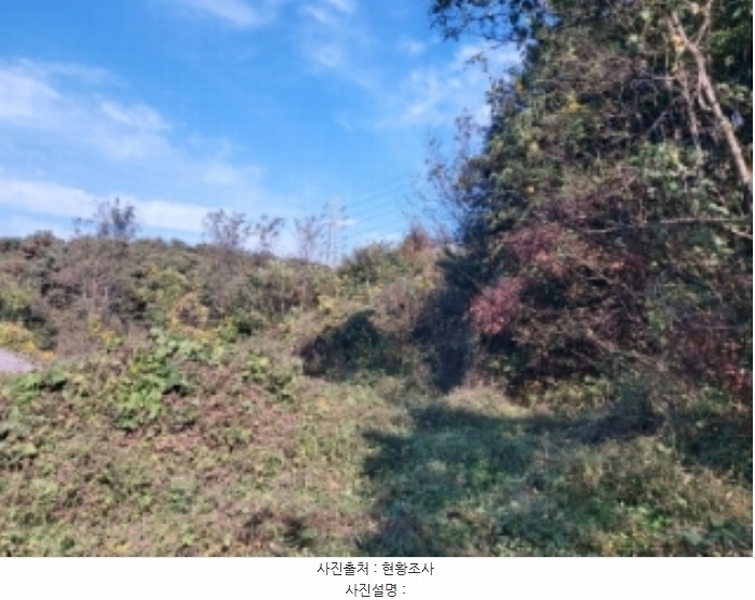 2024타경4525 충청남도 당진시 송악읍 석포리 351-20 임야 경매 이미지