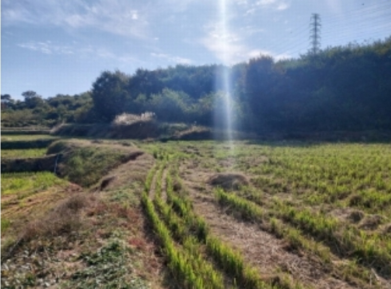 2024타경4525 충청남도 당진시 송악읍 석포리 351-20 임야 경매 이미지