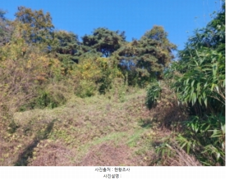 2024타경4525 충청남도 당진시 송악읍 석포리 351-20 임야 경매 이미지