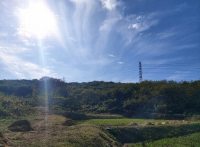 2024타경4525 충청남도 당진시 송악읍 석포리 351-20 임야 경매 이미지