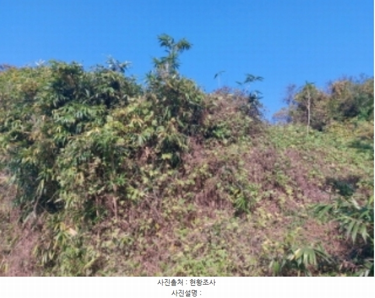 2024타경4525 충청남도 당진시 송악읍 석포리 351-20 임야 경매 이미지