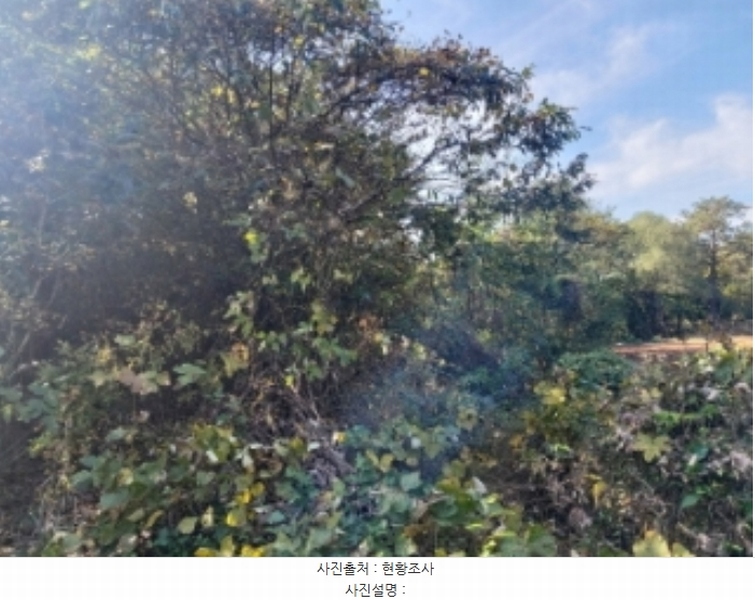 2024타경4525 충청남도 당진시 송악읍 석포리 351-20 임야 경매 이미지