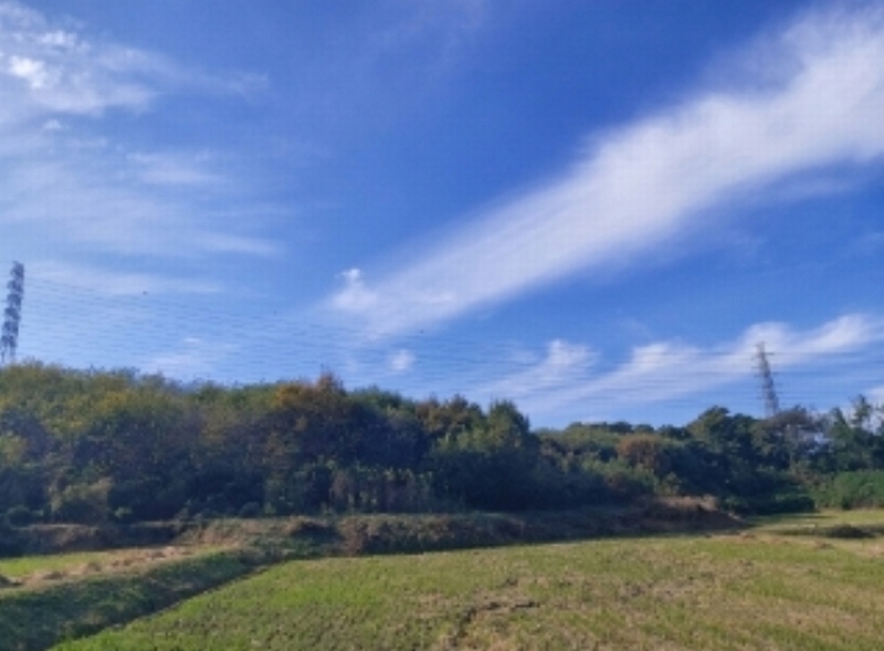 2024타경4525 충청남도 당진시 송악읍 석포리 351-20 임야 경매 이미지