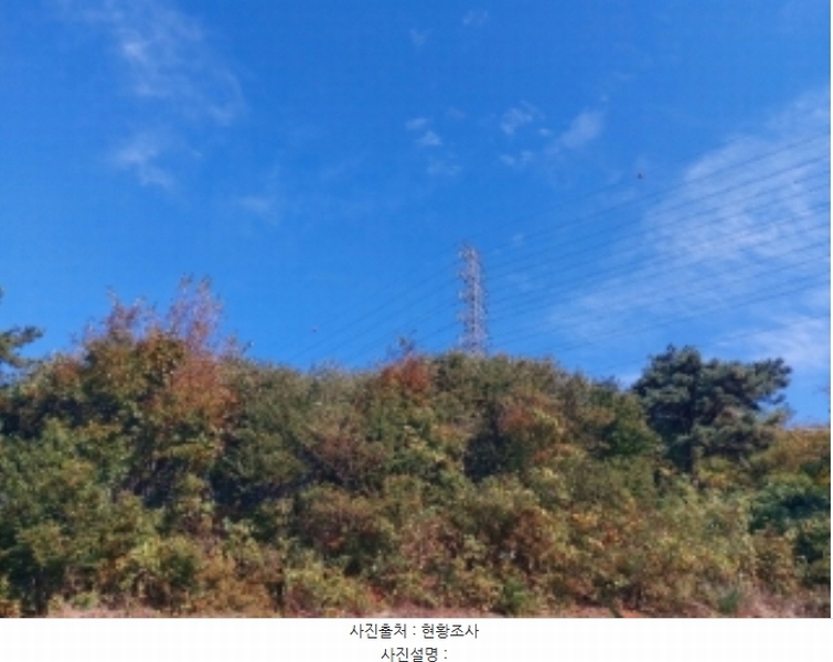 2024타경4525 충청남도 당진시 송악읍 석포리 351-20 임야 경매 이미지