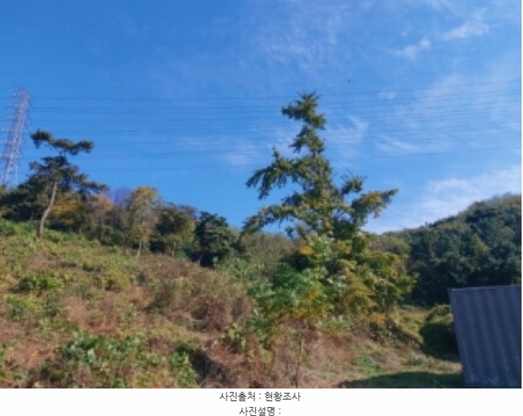 2024타경4525 충청남도 당진시 송악읍 석포리 351-20 임야 경매 이미지