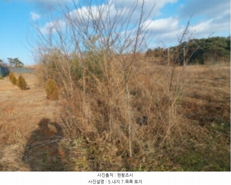 2024타경5252 충청남도 당진시 송악읍 고대리 114-1 농지 경매 이미지