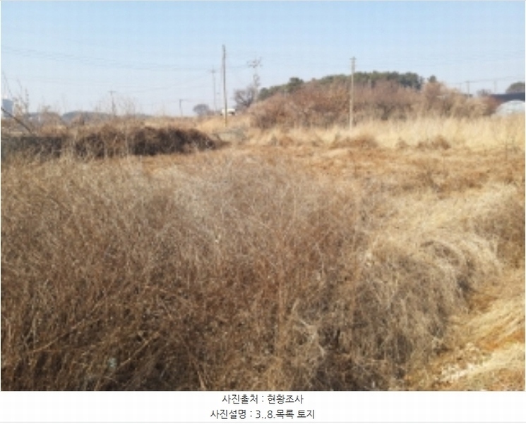 2024타경50856 충청남도 당진시 송악읍 중흥리 492-8 농지 경매 이미지