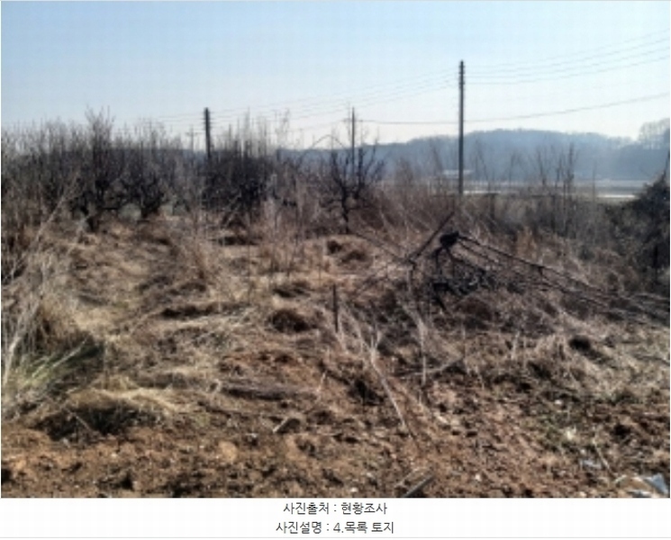 2024타경50856 충청남도 당진시 송악읍 중흥리 492-8 농지 경매 이미지