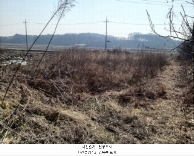 2024타경50856 충청남도 당진시 송악읍 중흥리 492-8 농지 경매 이미지