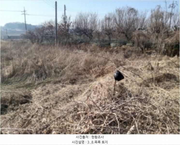 2024타경50856 충청남도 당진시 송악읍 중흥리 492-8 농지 경매 이미지