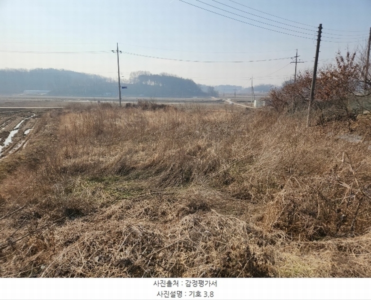 2024타경50856 충청남도 당진시 송악읍 중흥리 492-8 농지 경매 이미지