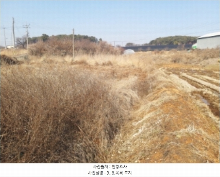 2024타경50856 충청남도 당진시 송악읍 중흥리 492-8 농지 경매 이미지