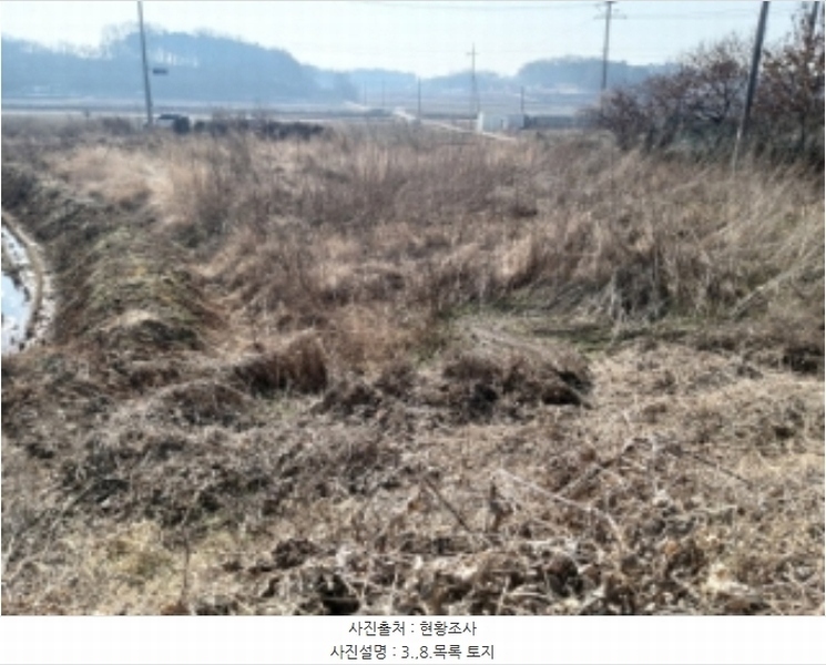 2024타경50856 충청남도 당진시 송악읍 중흥리 492-8 농지 경매 이미지