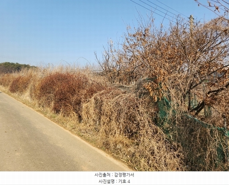 2024타경50856 충청남도 당진시 송악읍 중흥리 492-8 농지 경매 이미지