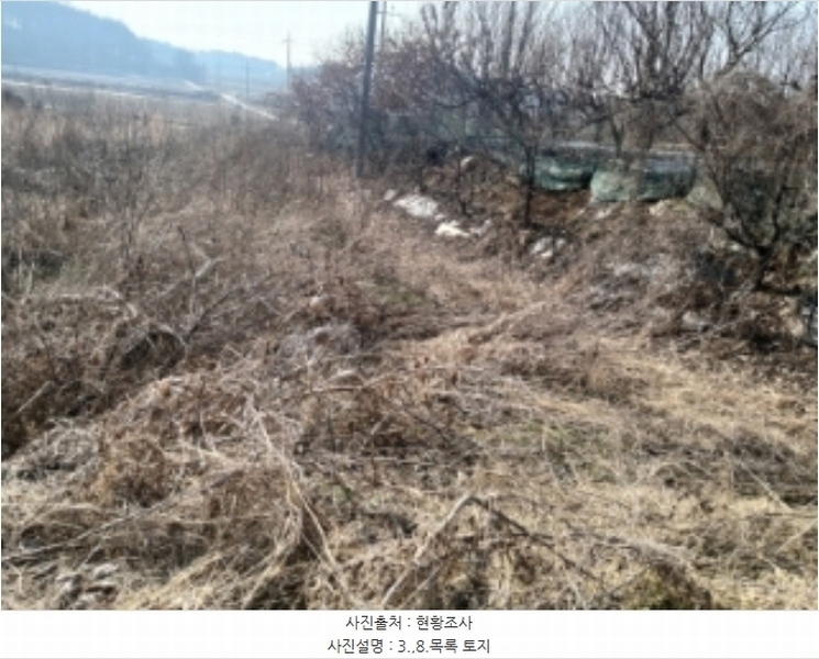 2024타경50856 충청남도 당진시 송악읍 중흥리 492-8 농지 경매 이미지