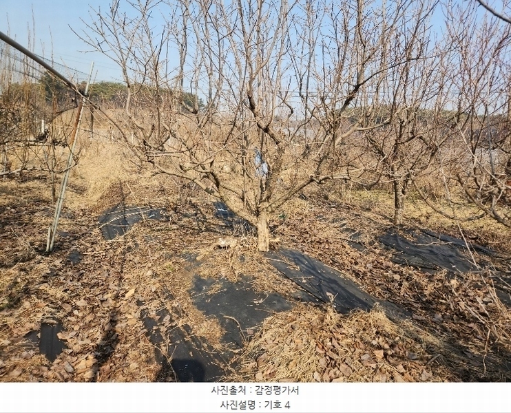 2024타경50856 충청남도 당진시 송악읍 중흥리 492-8 농지 경매 이미지