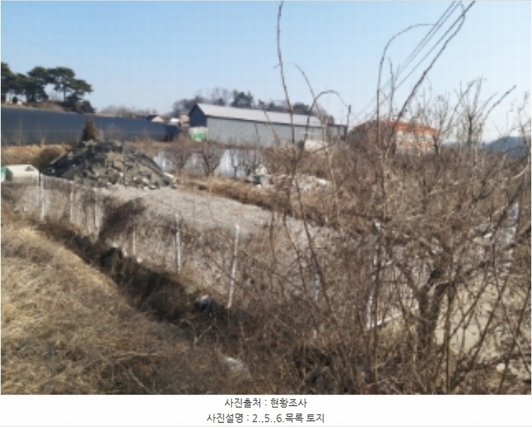 2024타경50856 충청남도 당진시 송악읍 중흥리 492-8 농지 경매 이미지