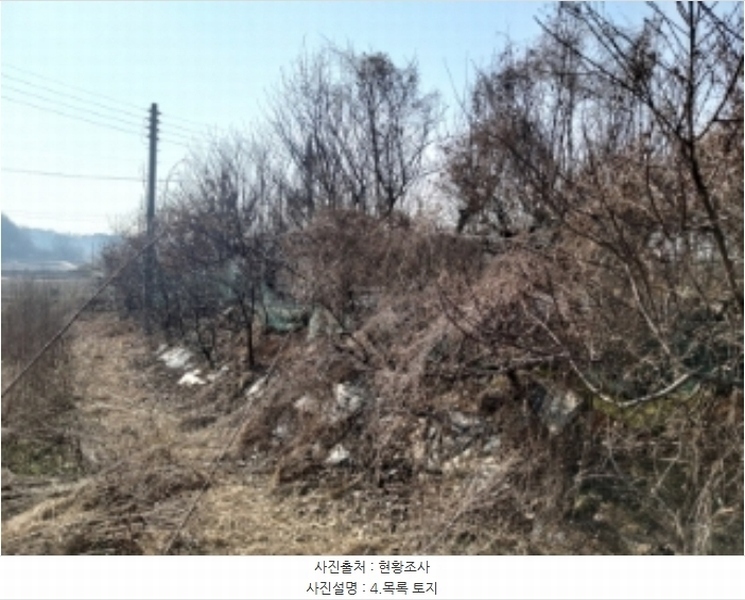 2024타경50856 충청남도 당진시 송악읍 중흥리 492-8 농지 경매 이미지