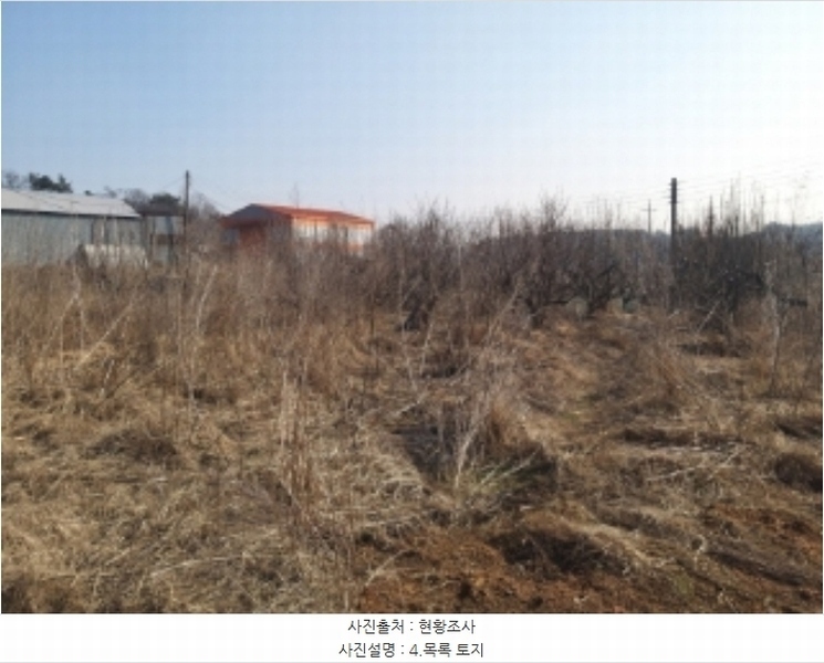 2024타경50856 충청남도 당진시 송악읍 중흥리 492-8 농지 경매 이미지