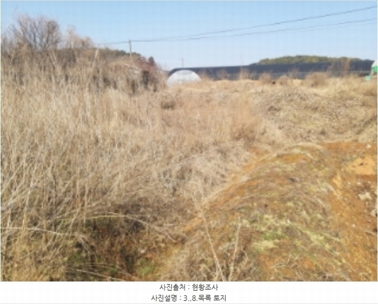 2024타경50856 충청남도 당진시 송악읍 중흥리 492-8 농지 경매 이미지