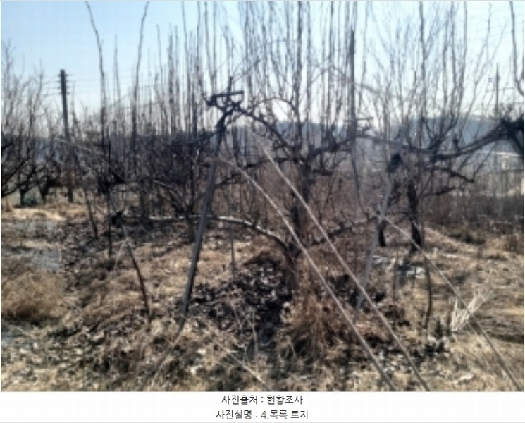 2024타경50856 충청남도 당진시 송악읍 중흥리 492-8 농지 경매 이미지