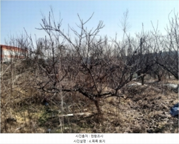 2024타경50856 충청남도 당진시 송악읍 중흥리 492-8 농지 경매 이미지