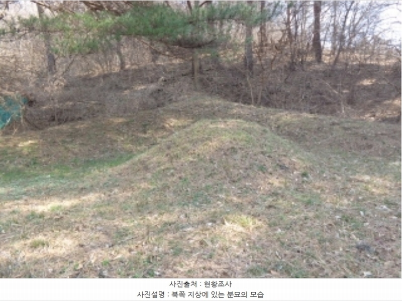 2024타경52036 충청남도 태안군 근흥면 수룡리 380-3 임야 경매 이미지