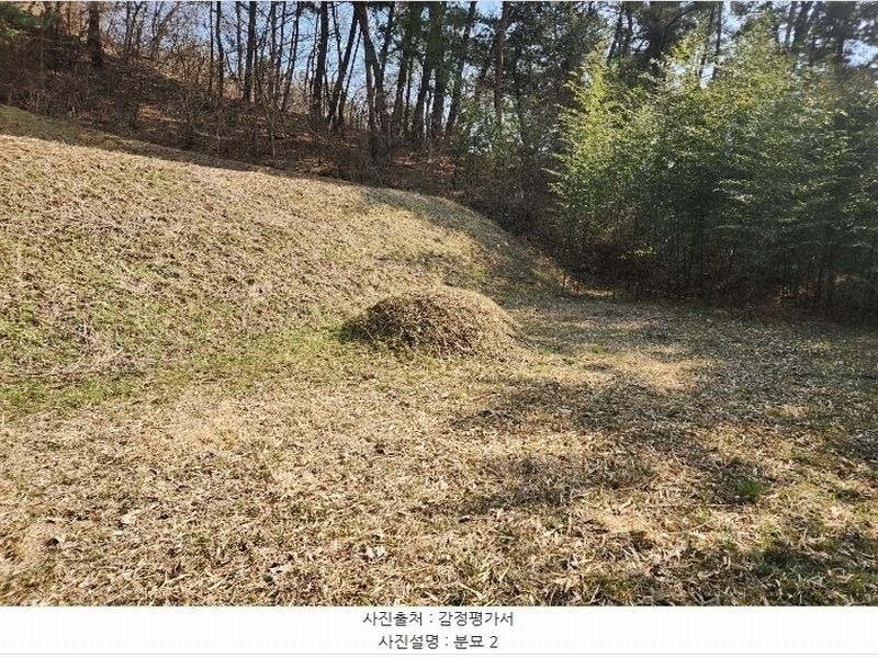 2024타경52036 충청남도 태안군 근흥면 수룡리 380-3 임야 경매 이미지