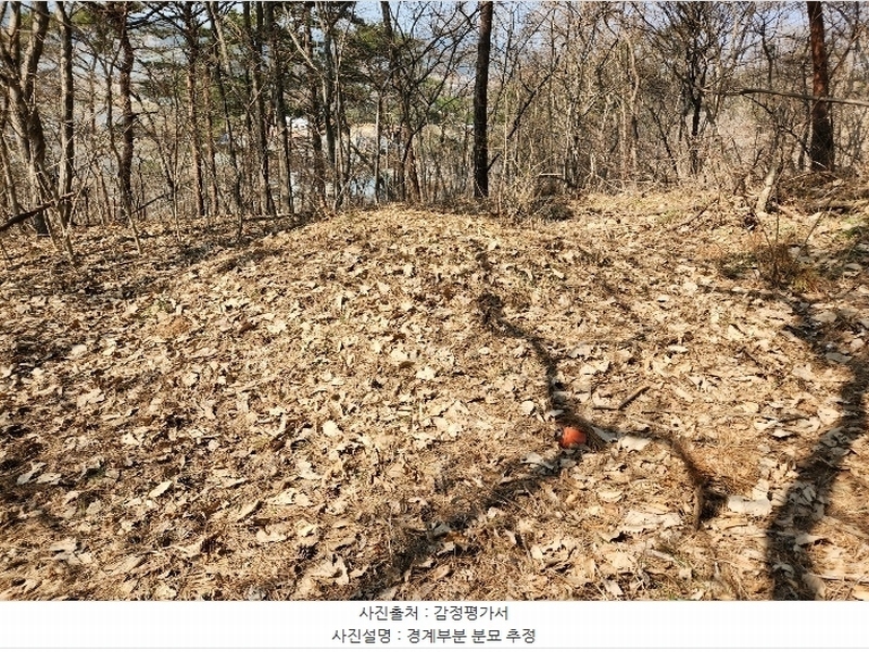 2024타경52036 충청남도 태안군 근흥면 수룡리 380-3 임야 경매 이미지