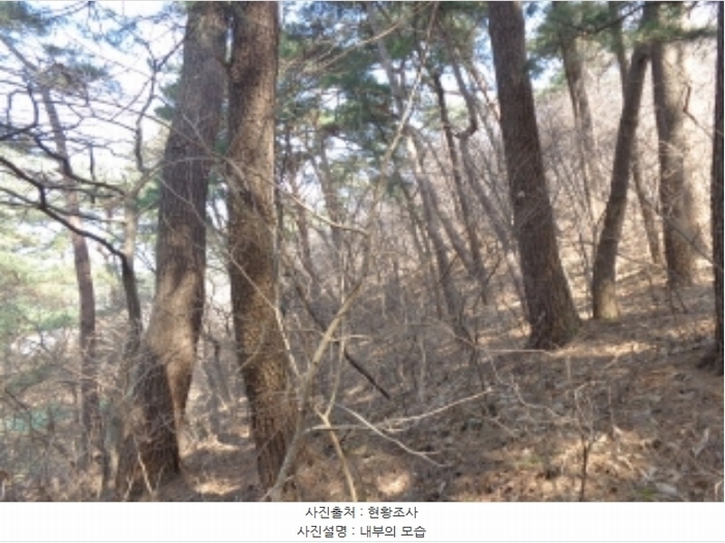 2024타경52036 충청남도 태안군 근흥면 수룡리 380-3 임야 경매 이미지