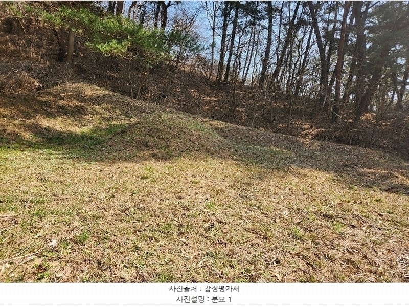 2024타경52036 충청남도 태안군 근흥면 수룡리 380-3 임야 경매 이미지