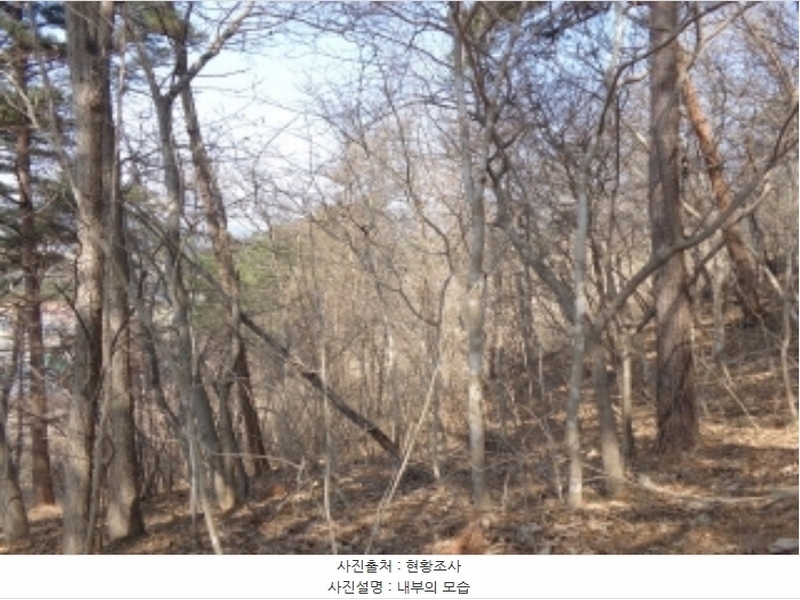 2024타경52036 충청남도 태안군 근흥면 수룡리 380-3 임야 경매 이미지