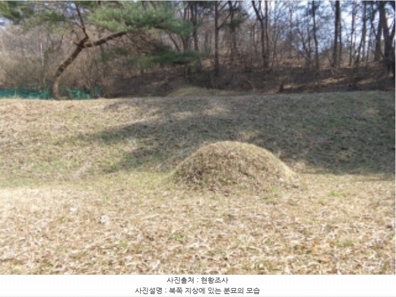 2024타경52036 충청남도 태안군 근흥면 수룡리 380-3 임야 경매 이미지